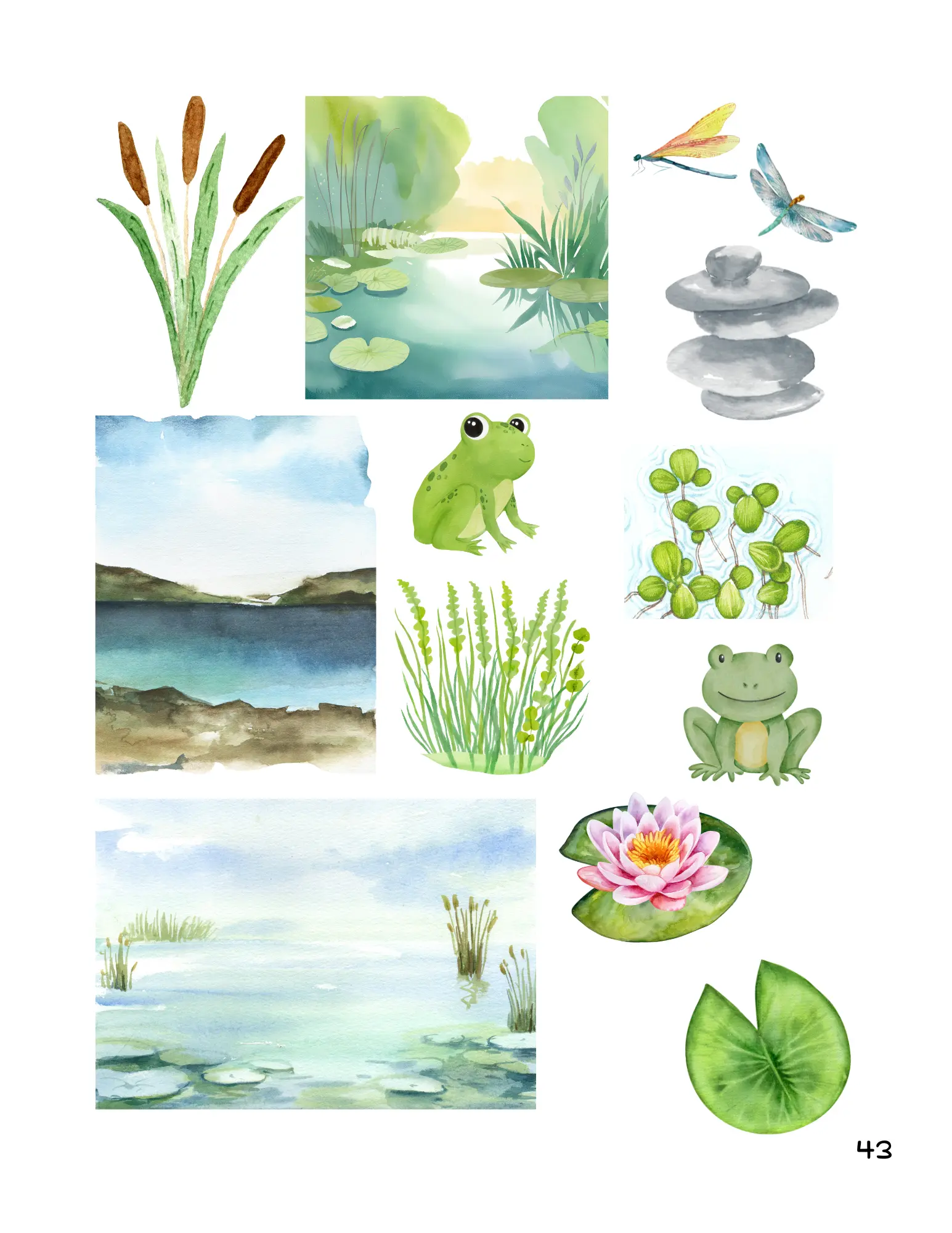 Page 43